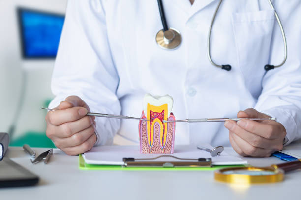 Best Mobile Emergency Dentist in Gages Lake, IL